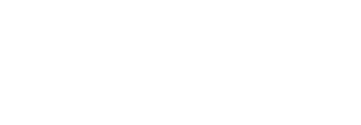 Buffalo Historical Fencing