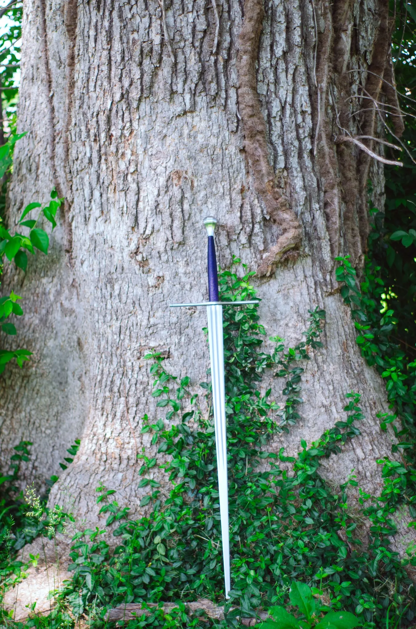 A longsword standing against a broad oak tree